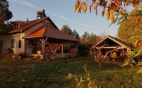 Sumska 1 - Fruska Gora